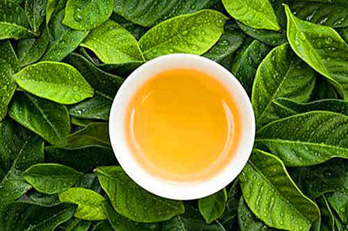 代用茶代加工厂家-贴牌生产趋势-德州健之源