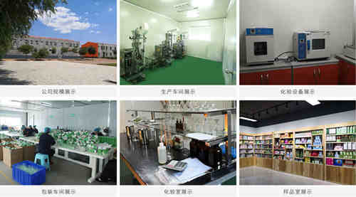 压片糖果代工厂家实景图-德州健之源