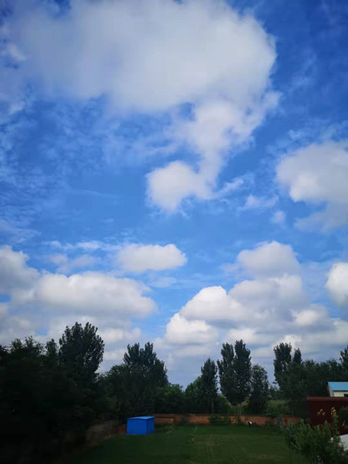 山东河南片剂加工