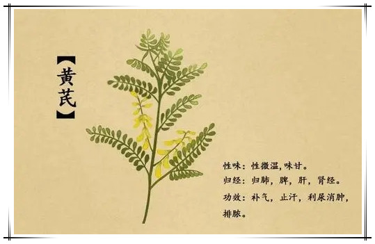人参压片糖果生产公司_德州健之源