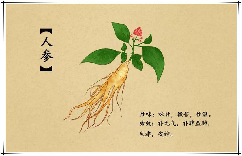 哪里有专业压片糖果生产公司_德州健之源