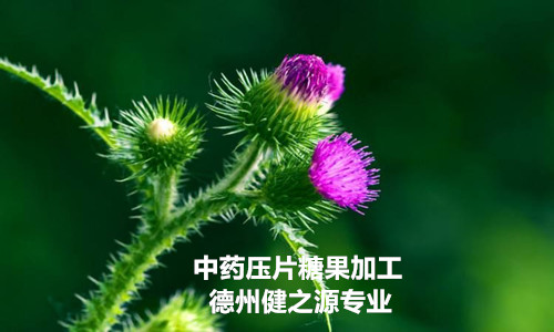 哪里有专业的压片糖果加工厂_德州健之源牡蛎压片糖果