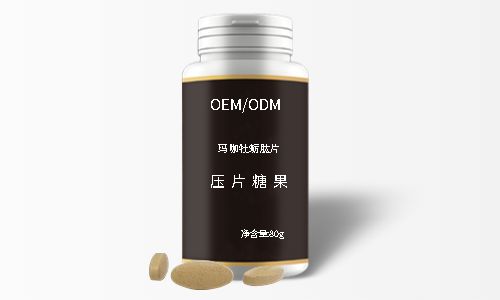 中药制品代加工企业来料加工项目