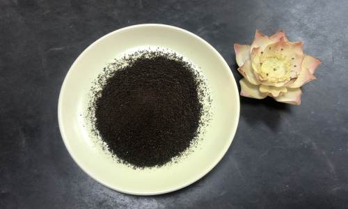 药食同源中药制成冲剂怎么找工厂代加工