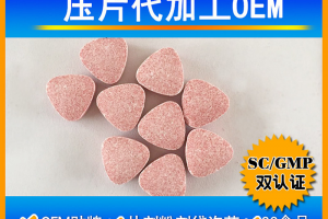 桦褐孔菌片剂代加工案例_德州健之源