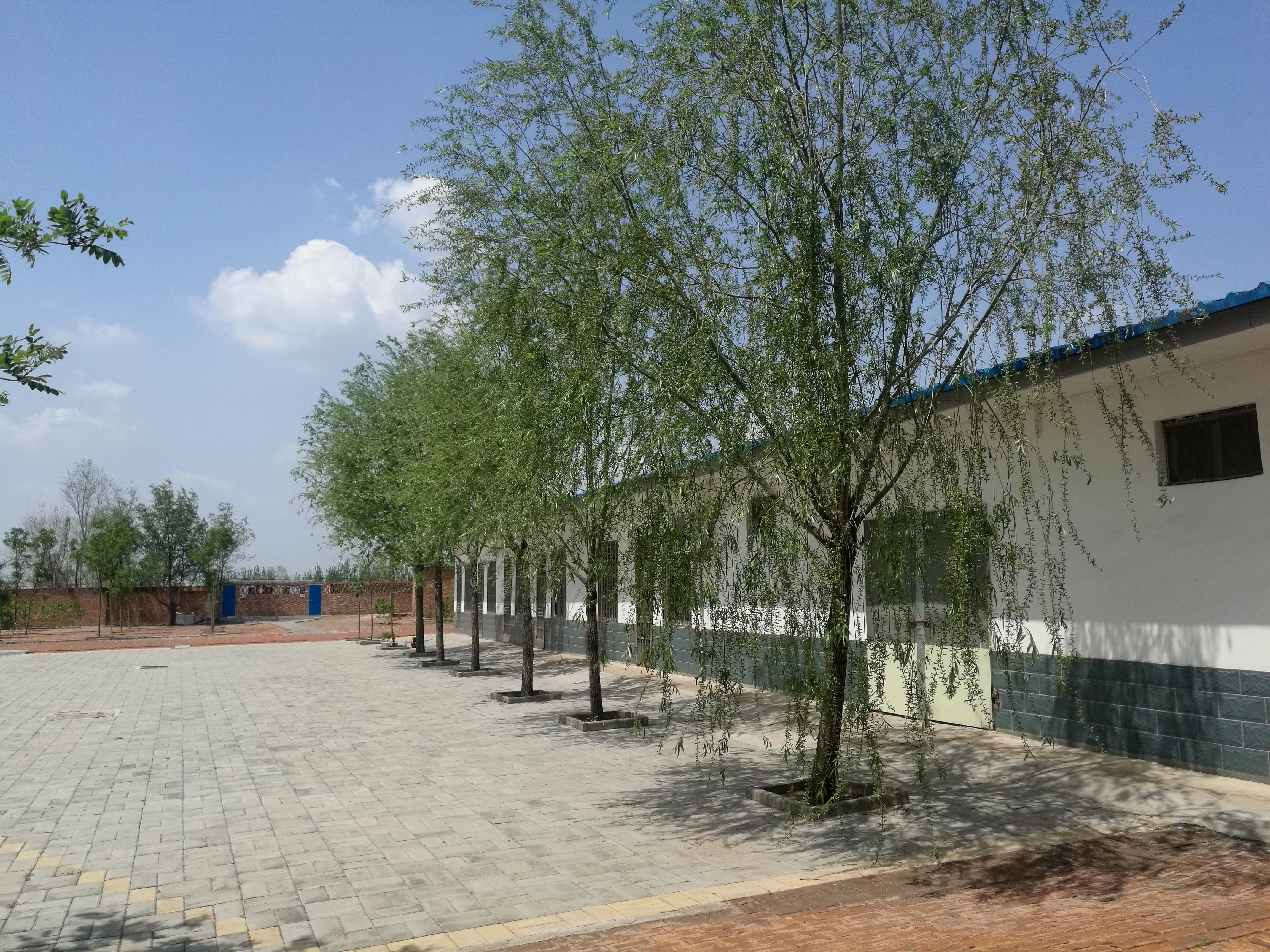 固体饮料代加工厂家 粉剂颗粒剂生产 oem 德州健之源