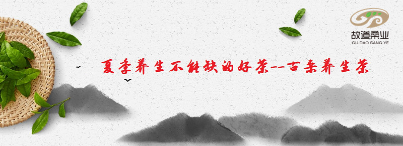夏季不能缺的好茶--古桑养生茶