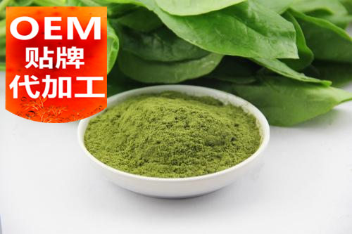 山东代餐粉代加工厂家-粉剂代加工-德州健之源